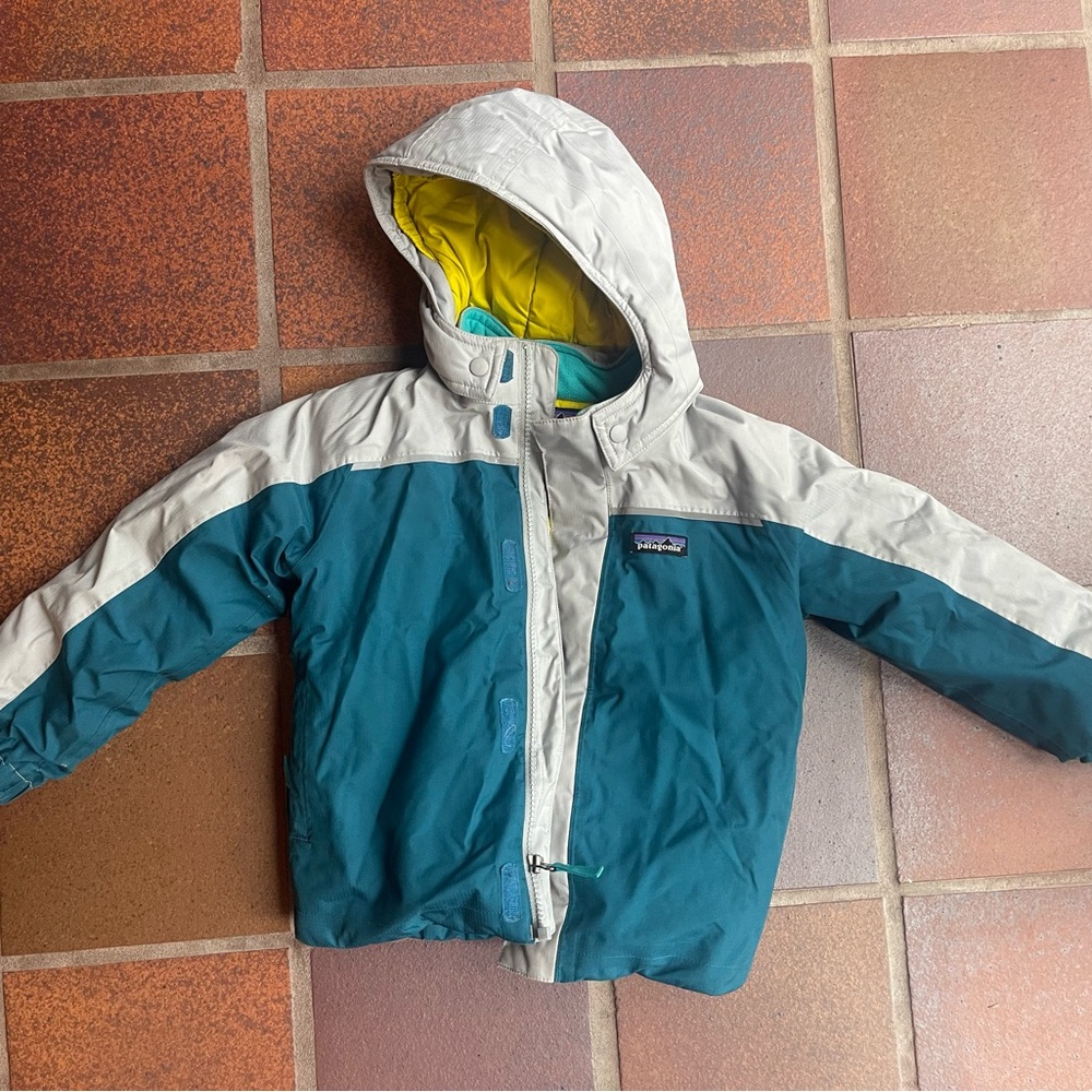 Patagonia Teal and Gray Hooded Jacket